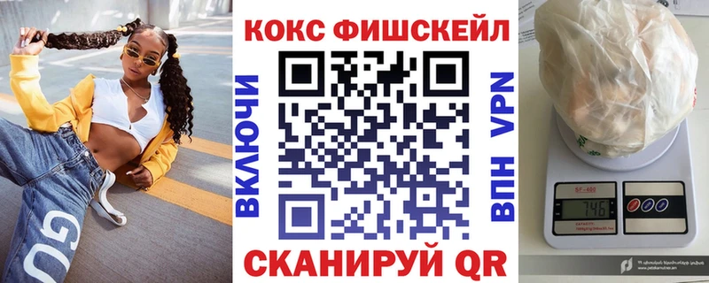 COCAIN Fish Scale  Купить  Кудрово 