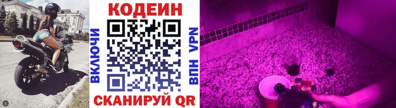 Кодеиновый сироп Lean Purple Drank  Купить закладки  Кудрово 