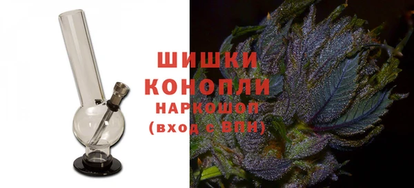 прущие грибы Михайловск