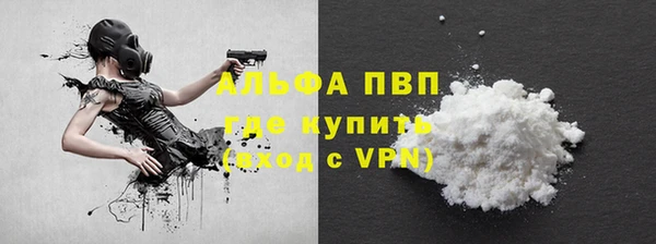 спиды Михайлов