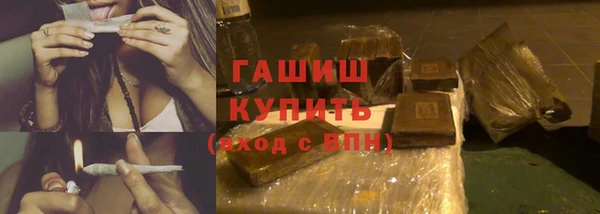 прущие грибы Михайловск