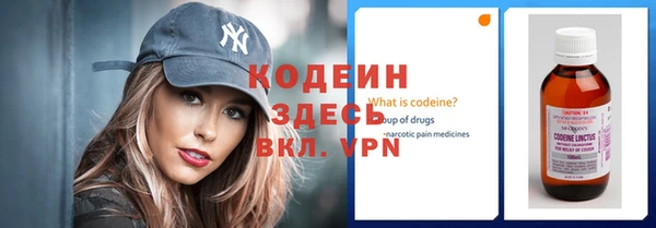 прущие грибы Михайловск