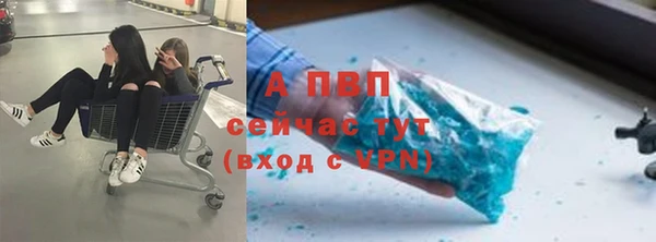прущие грибы Михайловск