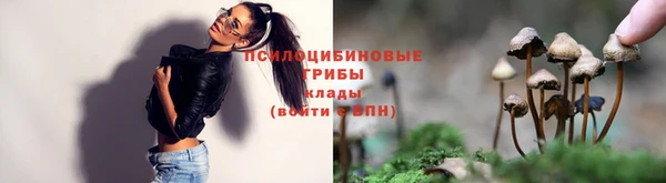 спиды Михайлов