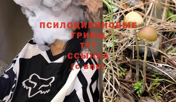 спиды Михайлов