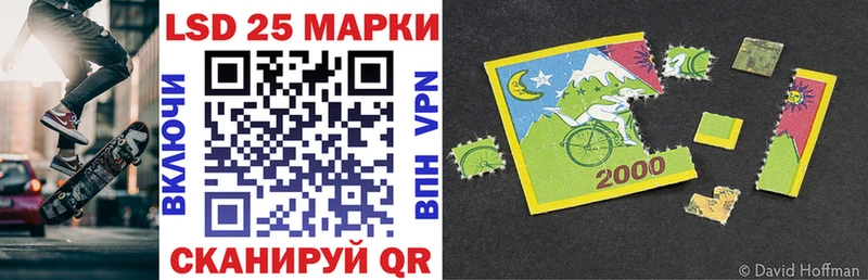 Купить закладки  Кудрово  Наркотические марки 1,8мг 