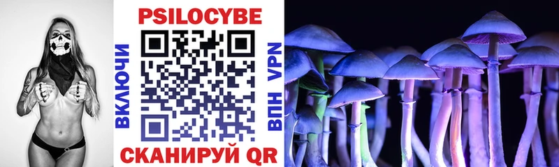 Галлюциногенные грибы Psilocybine cubensis  Купить где  Кудрово 